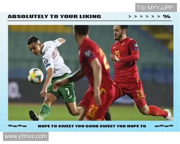 2019年欧洲预选赛保加利亚对阵黑山精彩回顾与赛后分析