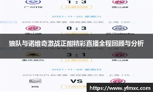 狼队与诺维奇激战正酣精彩直播全程回顾与分析